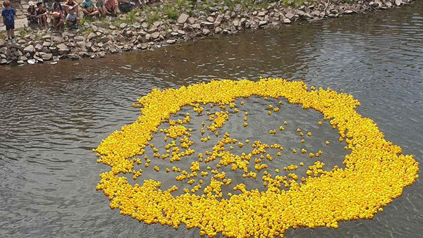 Plastikenten im Wasser